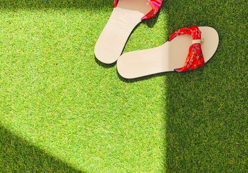 Landscaping Tips and Tricks