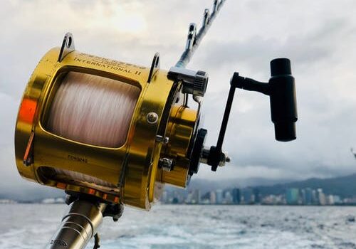 The Traveler’s Guide for Fishing Trip in Alaska