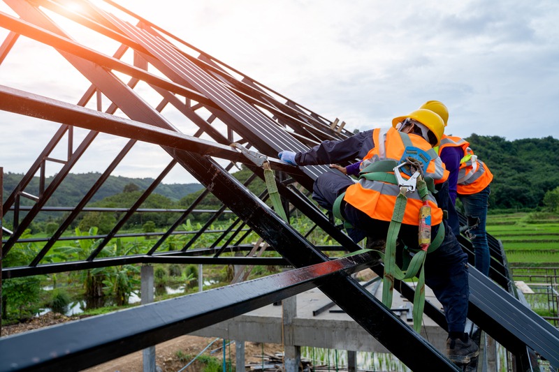 Why Should I Choose a Professional Roofing Company?