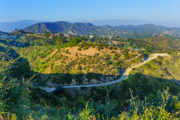 A Beginner’s Guide to Effective Wellbeing Retreat Practices